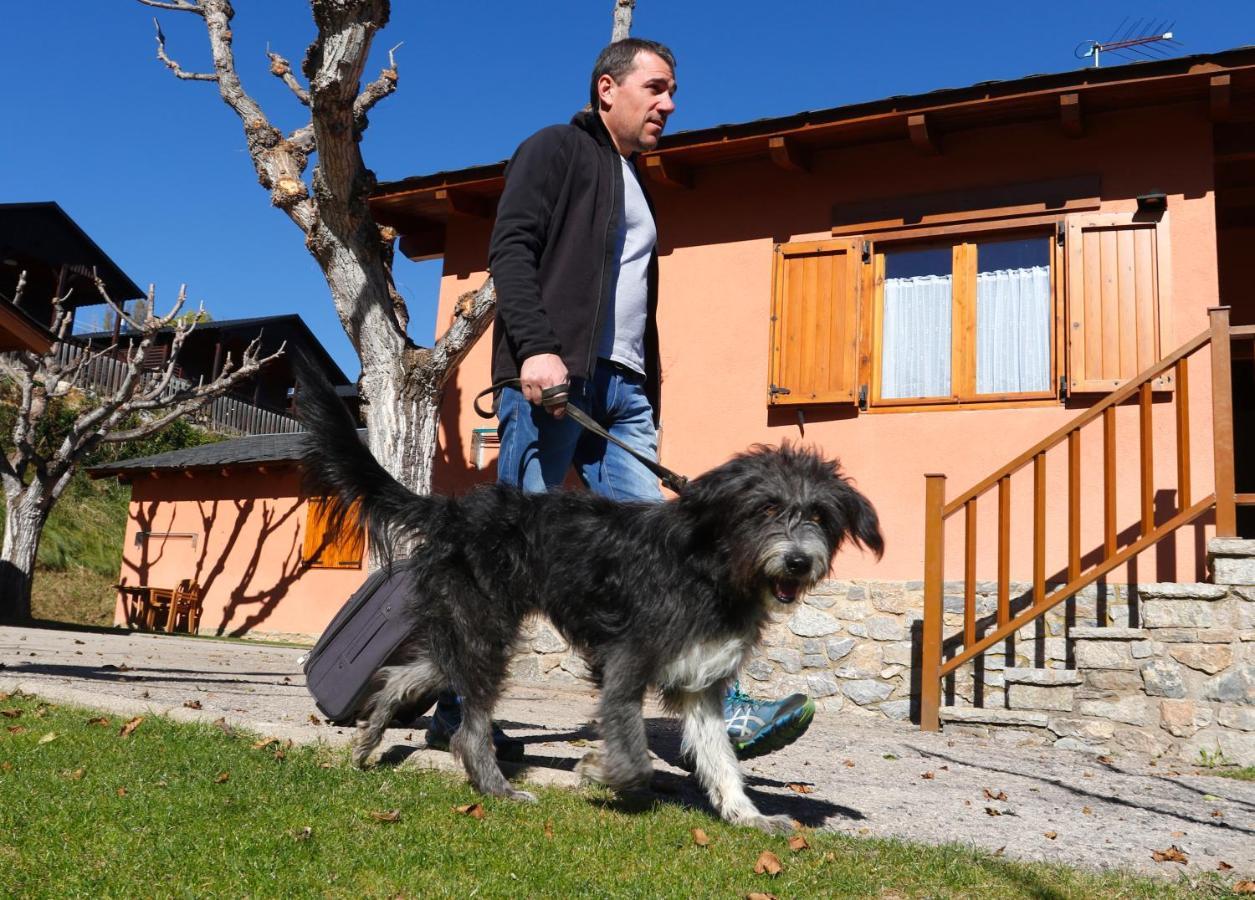 Cerdanya Viva Ecoestades Station touristique