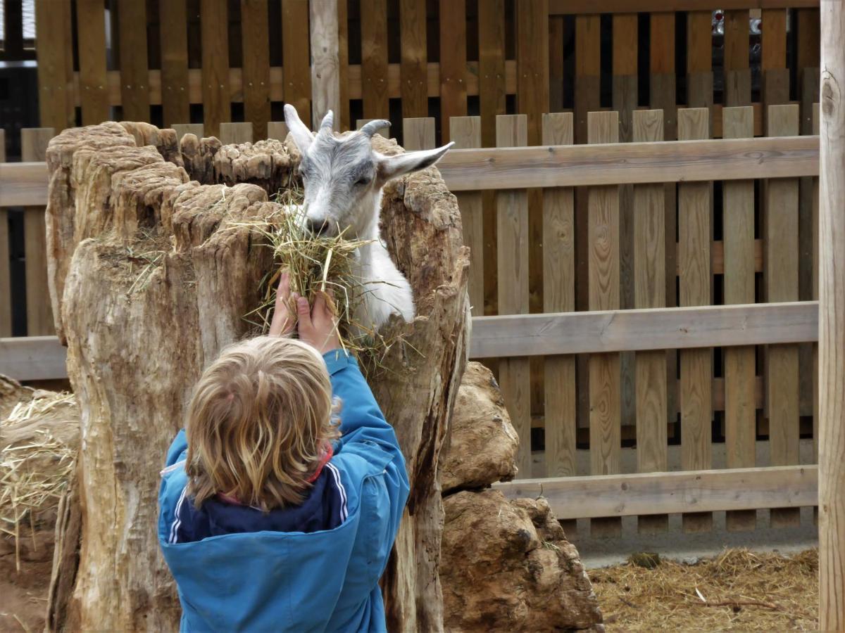 Cerdanya Viva Ecoestades 3*