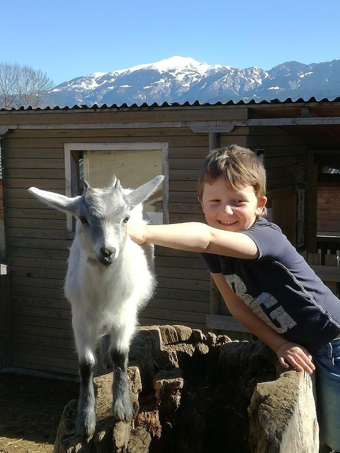 Cerdanya Viva Ecoestades Station touristique